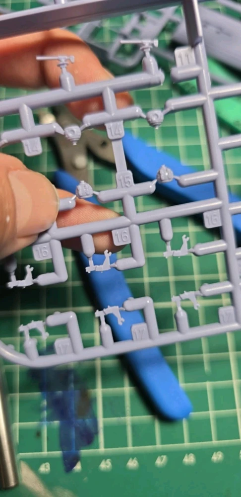 Image uploaded by Matt