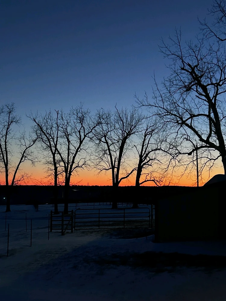 Image uploaded by Ally