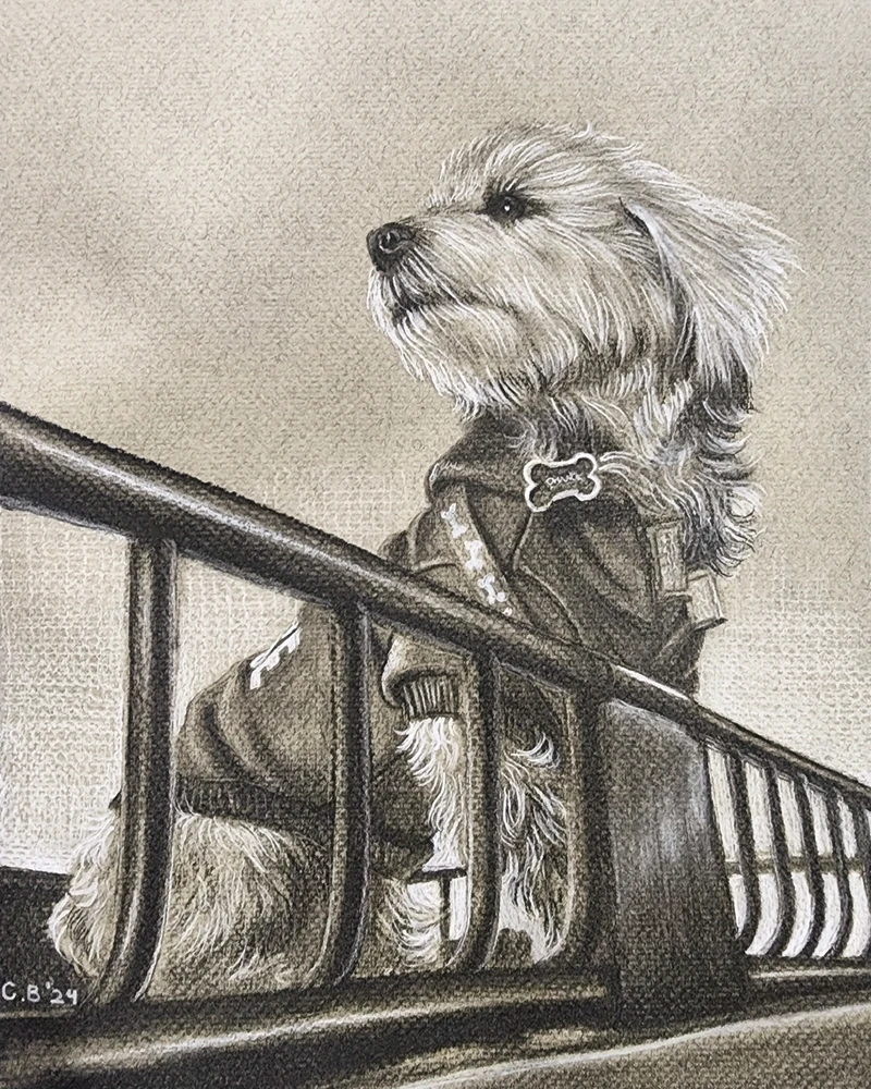 Image uploaded by Christine