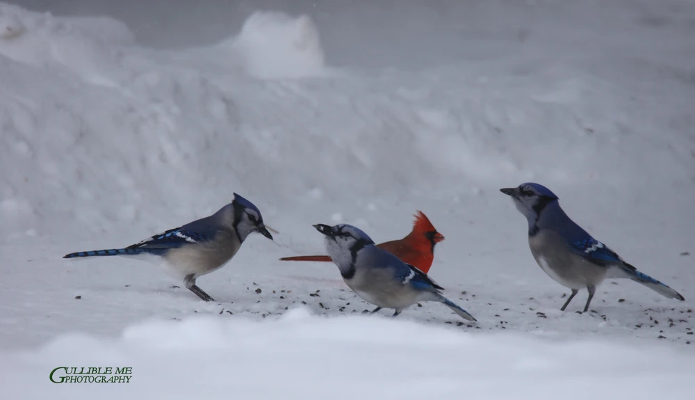 Image uploaded by RFT