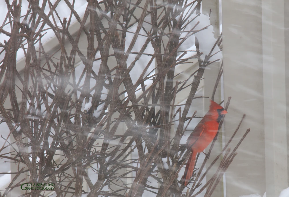 Image uploaded by RFT