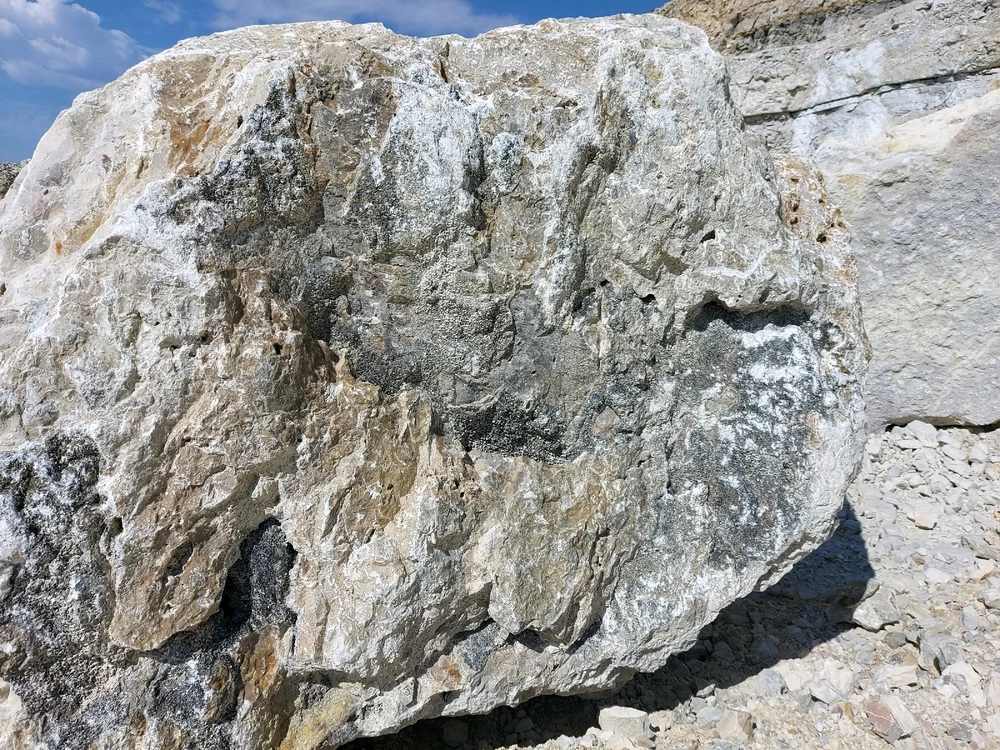 Image uploaded by Lynnae