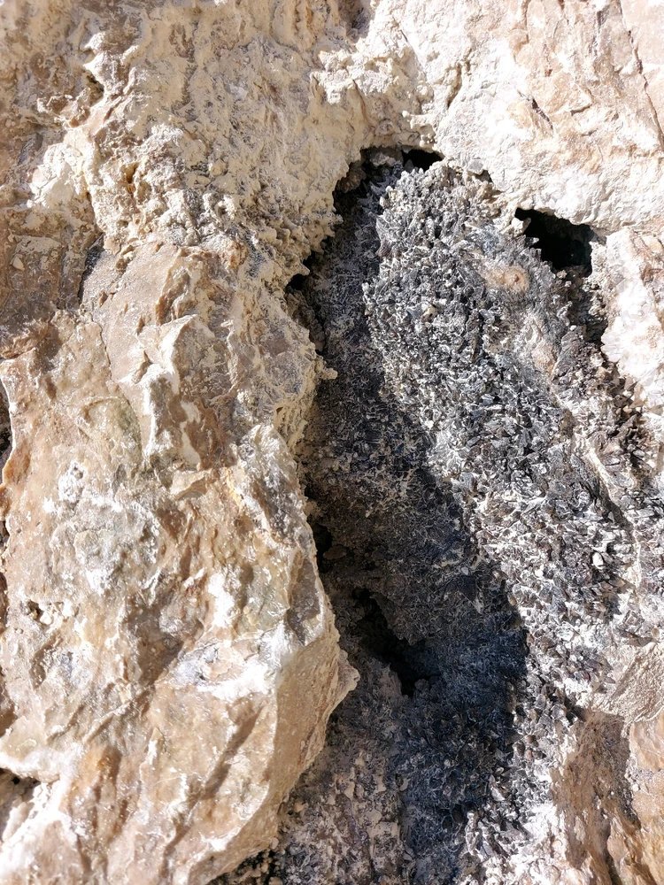 Image uploaded by Lynnae