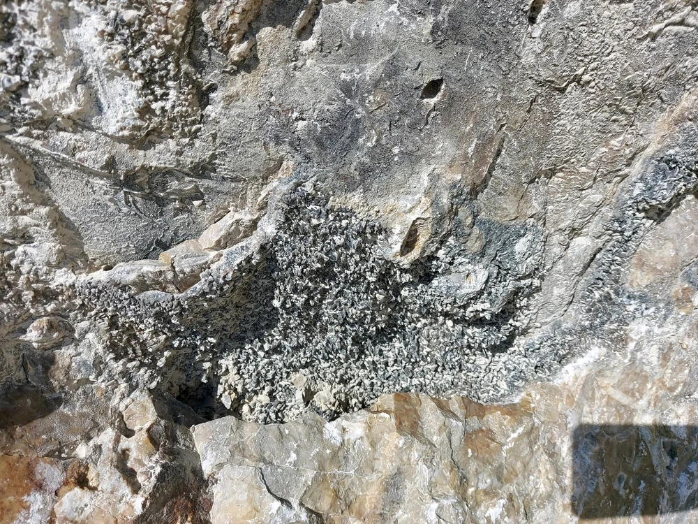 Image uploaded by Lynnae