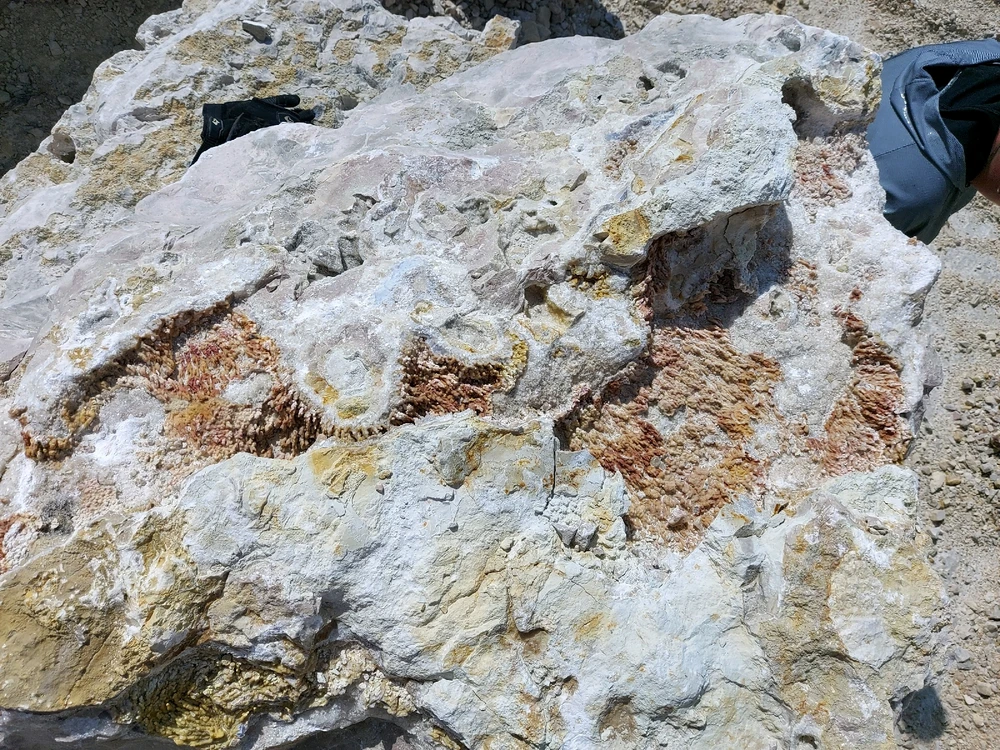 Image uploaded by Lynnae