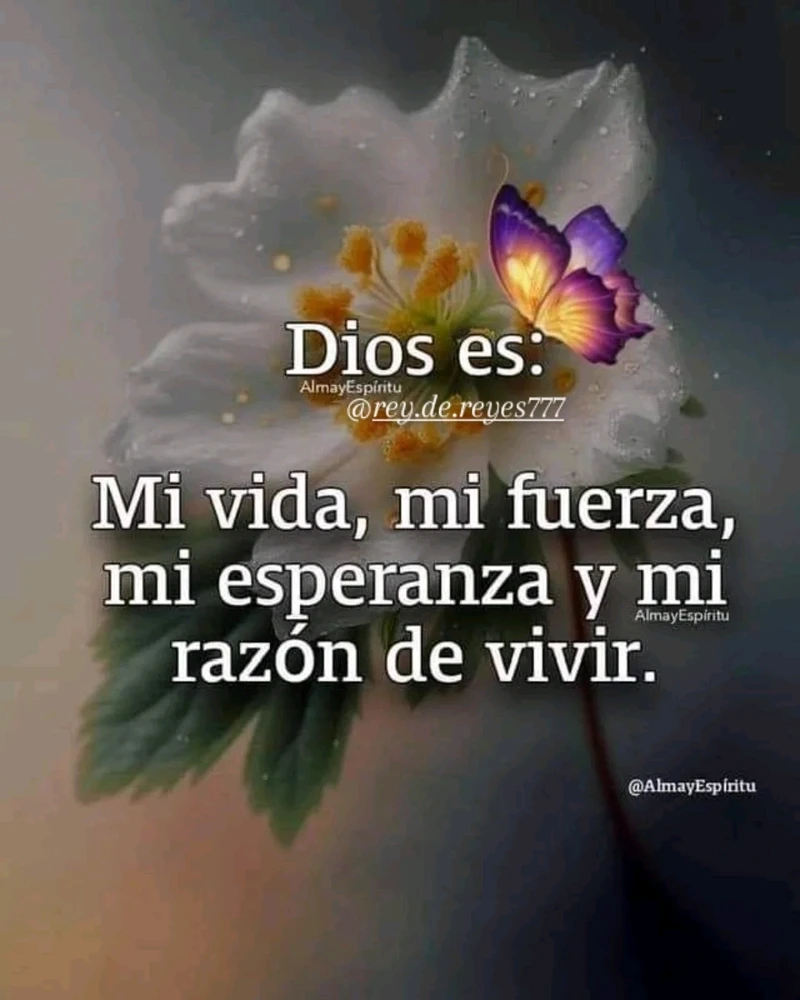 Image uploaded by Liza