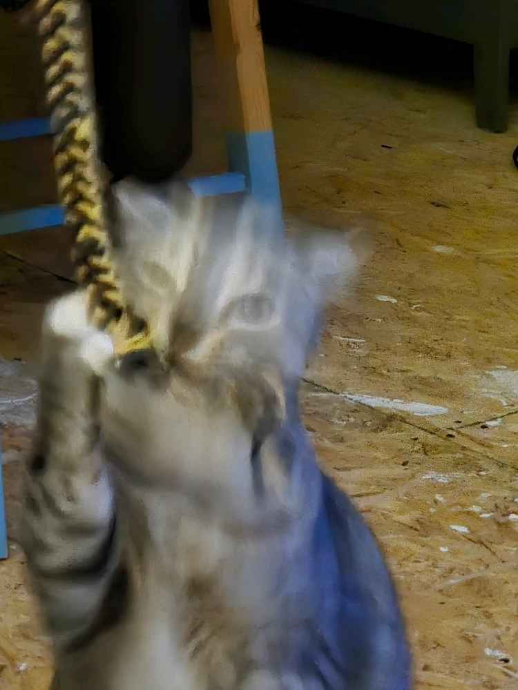 GIF uploaded by Em