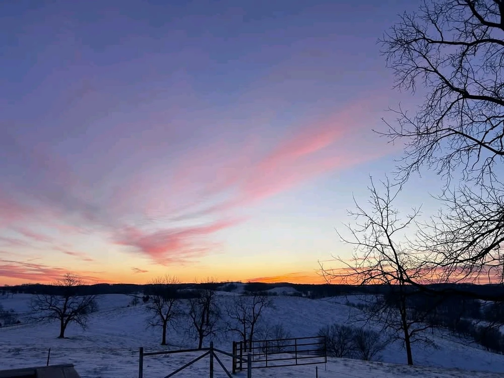 GIF uploaded by Ally