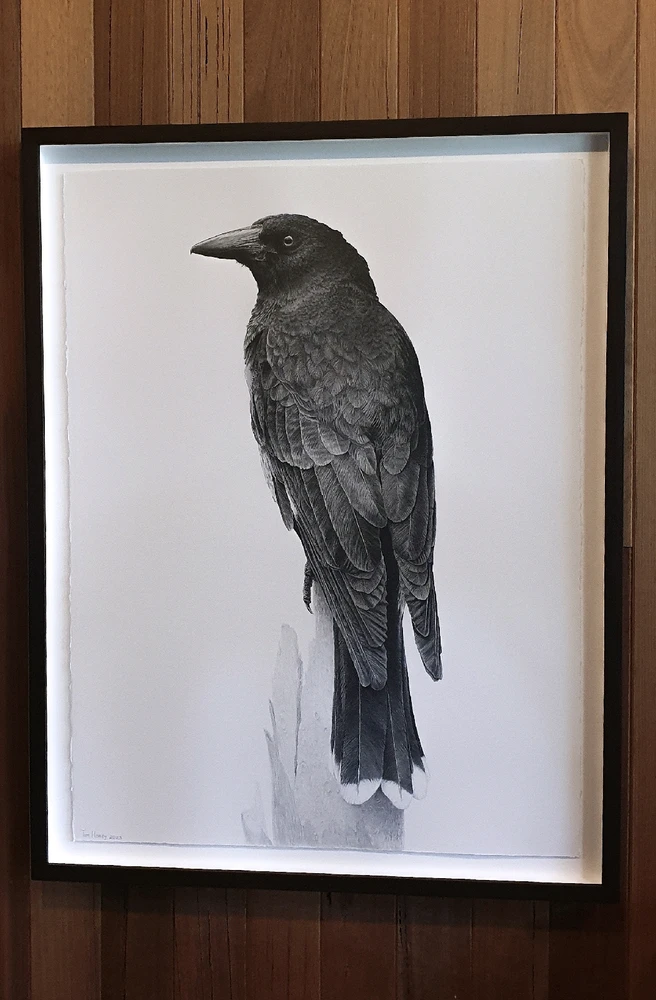 Image uploaded by Tim