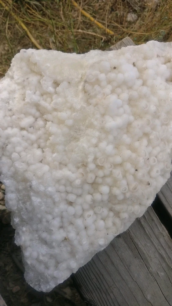 GIF uploaded by Lynnae