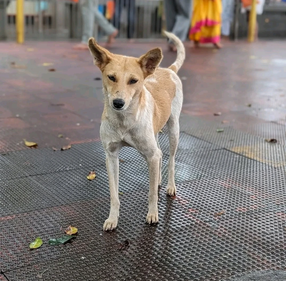 GIF uploaded by Nithi