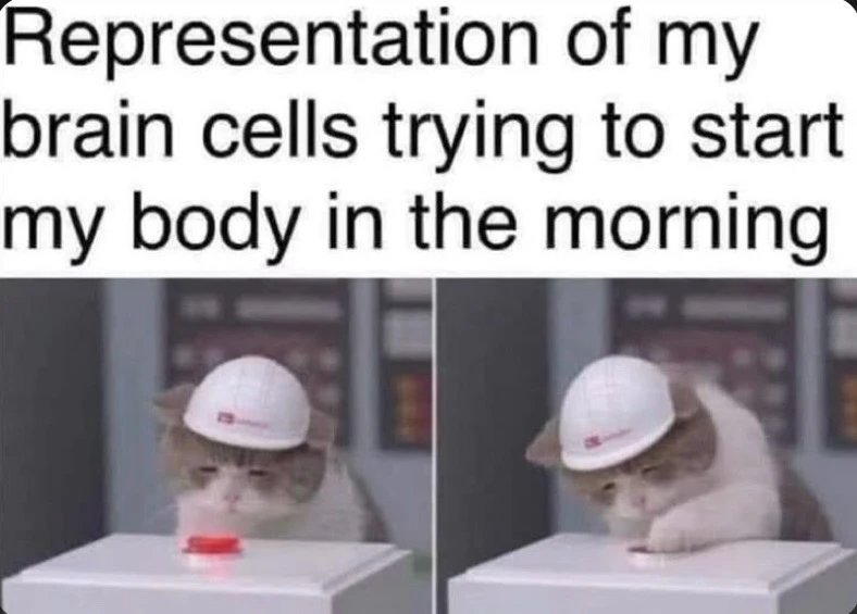 GIF hochgeladen von Lee