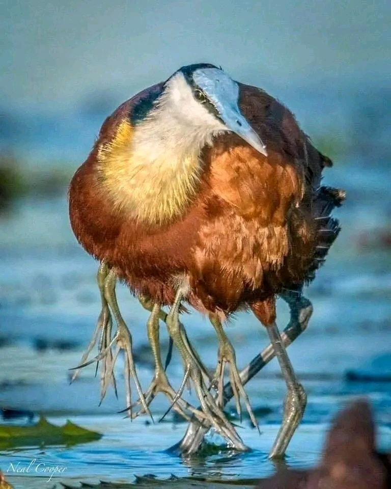 Image ajoutée par Stef