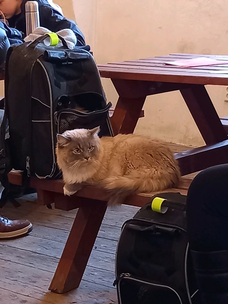 Obrázek nahrál Svatava