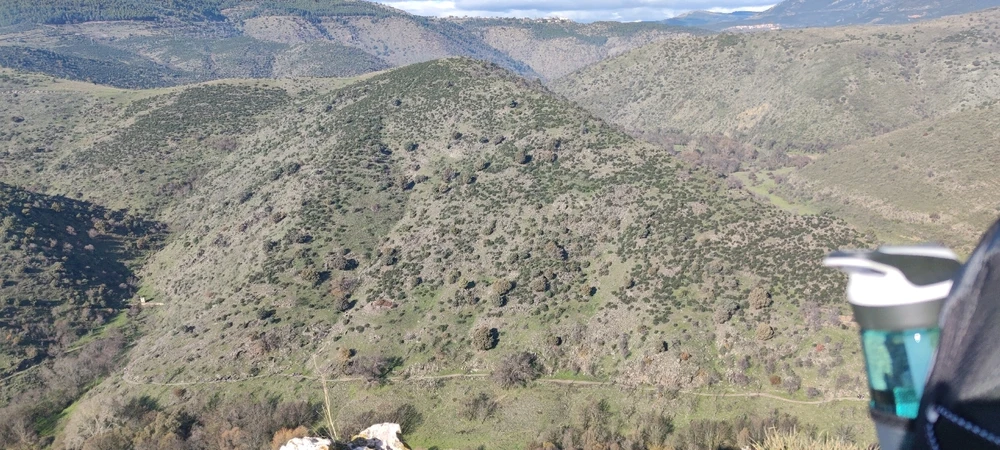 Imagen subida por David