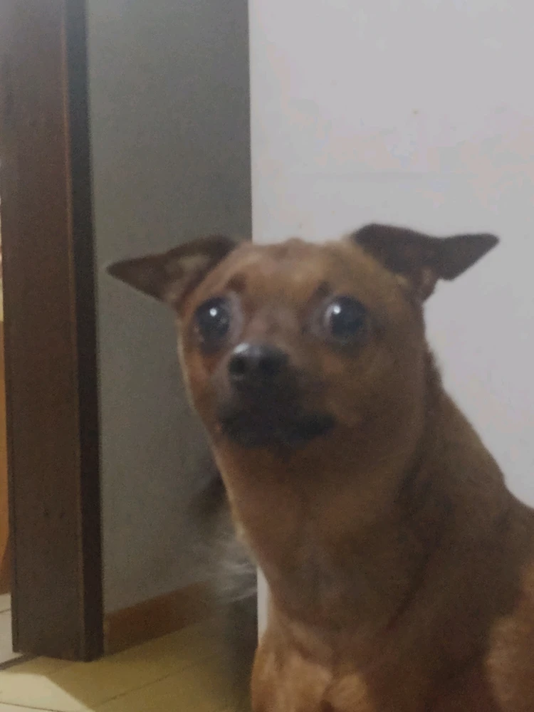 GIF enviado por Matheus