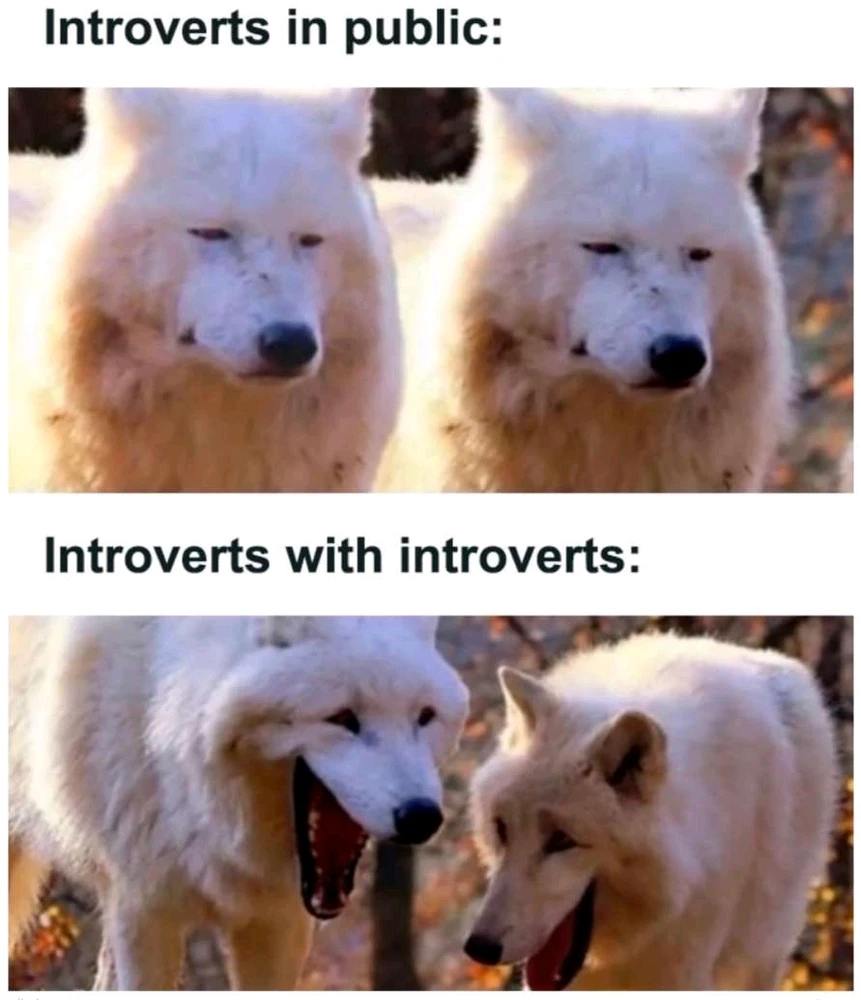 Introverts