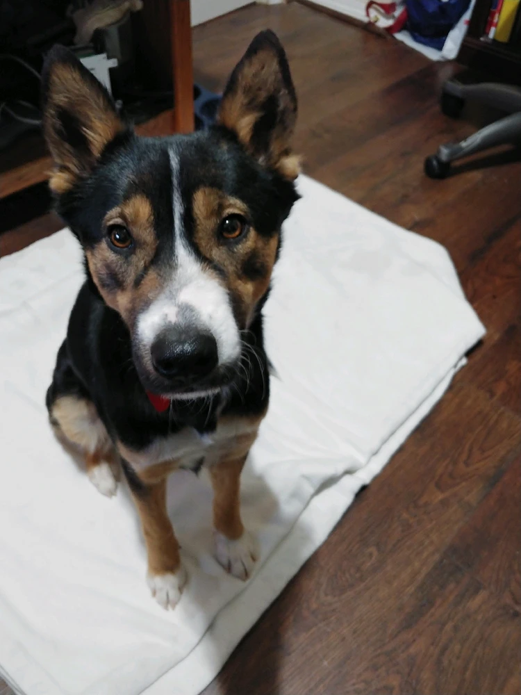 GIF diunggah dening Andrew