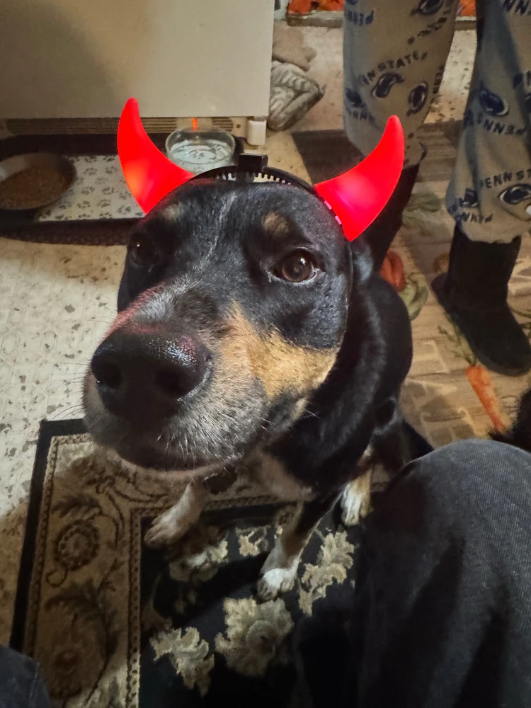 Image uploaded by Tony