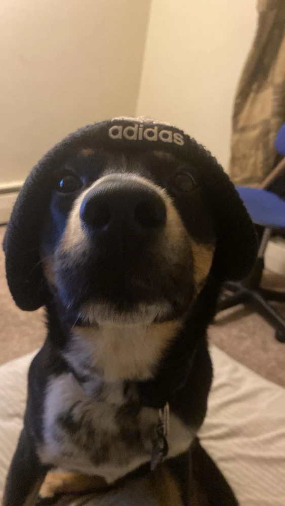 Image uploaded by Tony