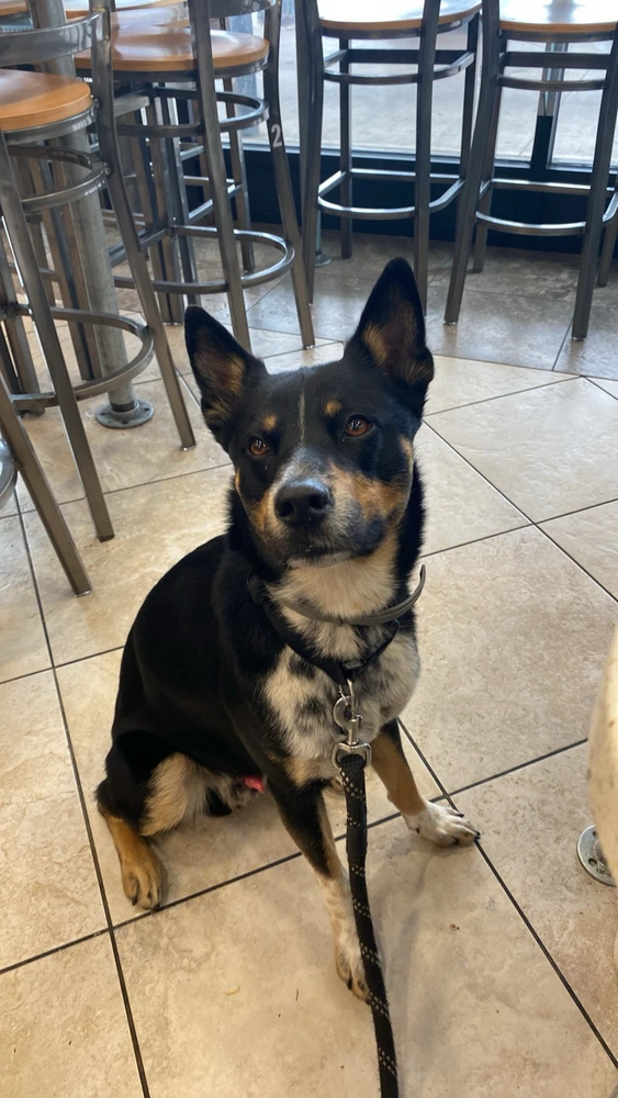 Image uploaded by Tony