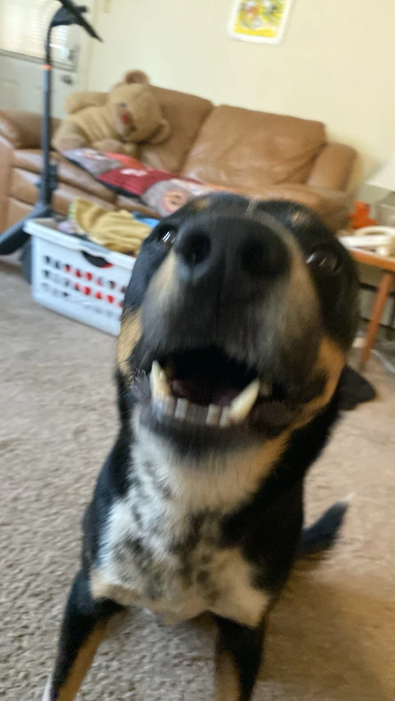 Image uploaded by Tony