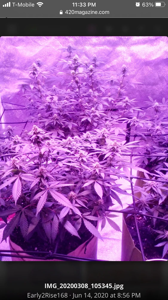 Image uploaded by Andre