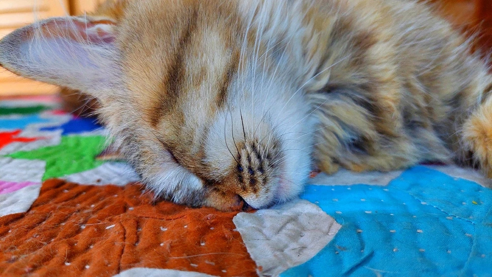 GIF uploaded by Arsalan