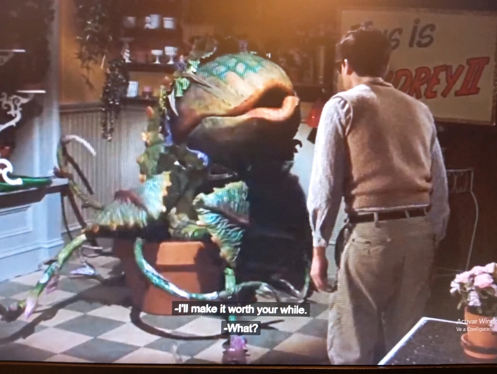 Imagen subida por Carlos