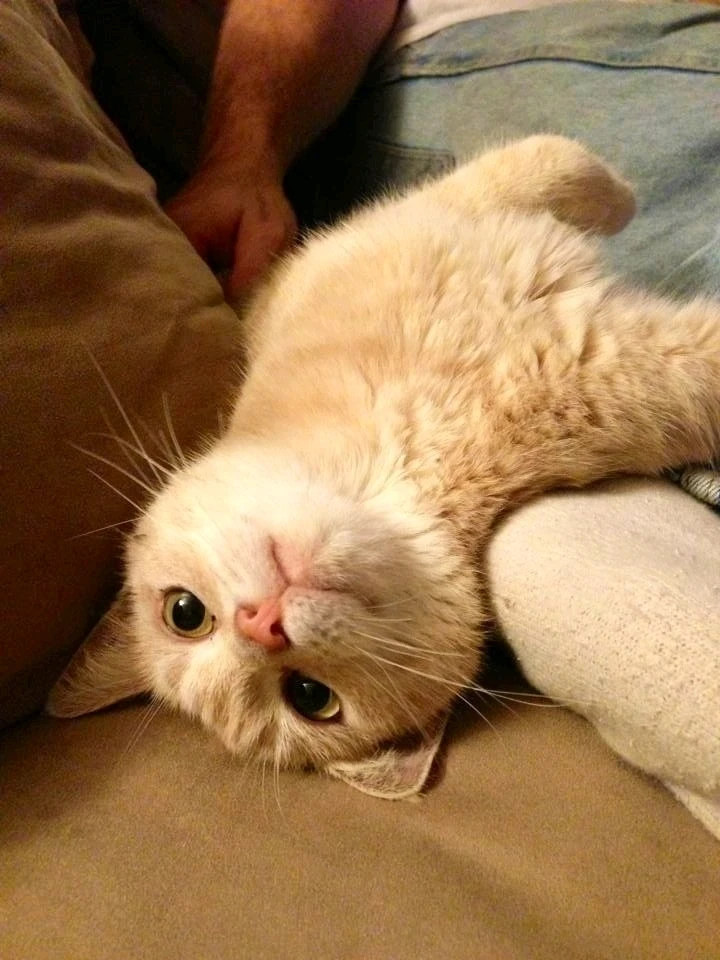 GIF uploaded by 🇰🇷Mantas🇰🇷