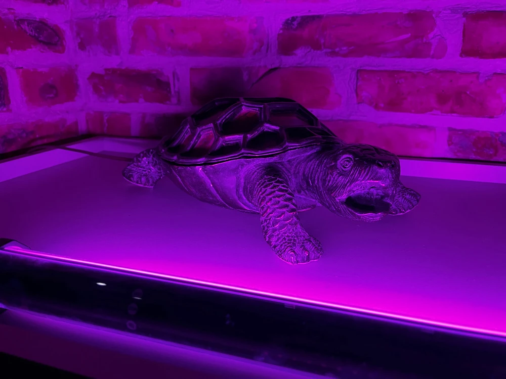 Зображення завантажив Роман