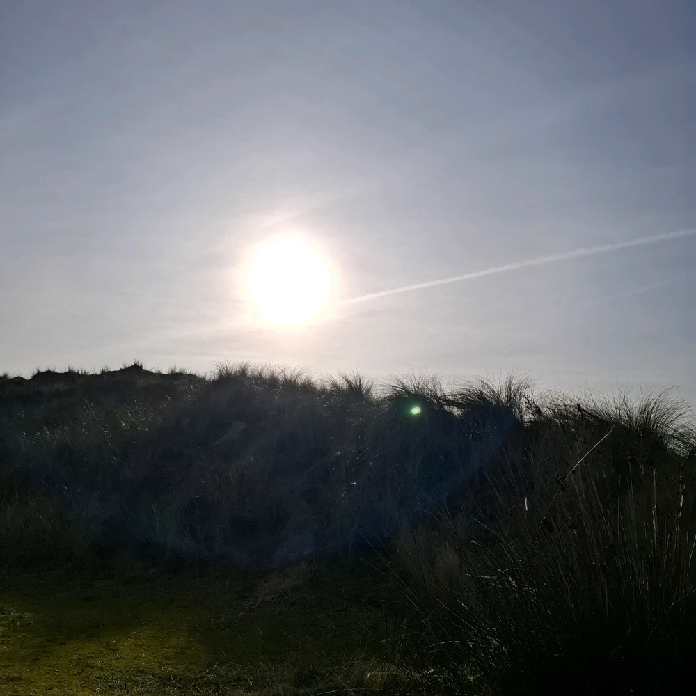 LamiaがアップロードしたGIF