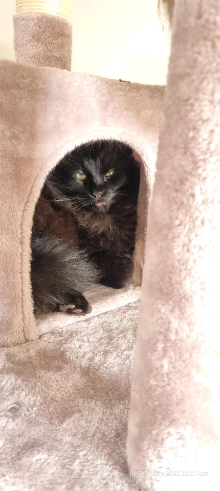 Image uploaded by Angie