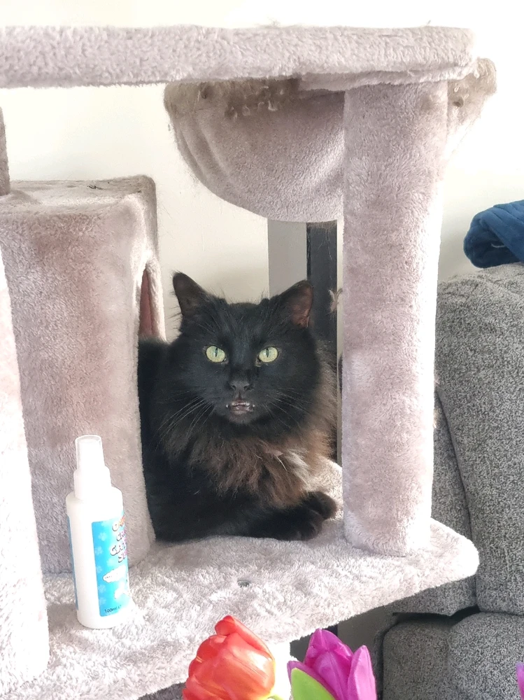 Image uploaded by Angie