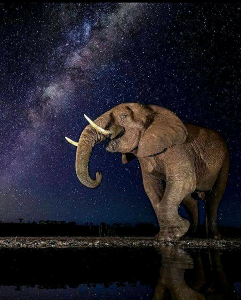 GIF uploaded by Angie