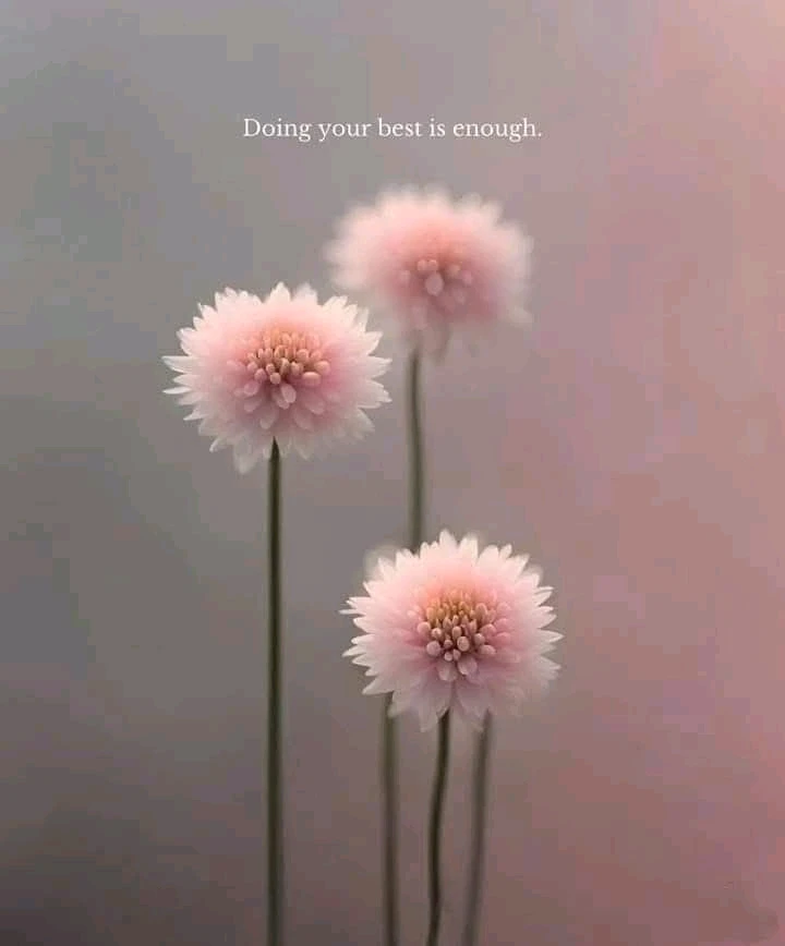 Grace上传的GIF