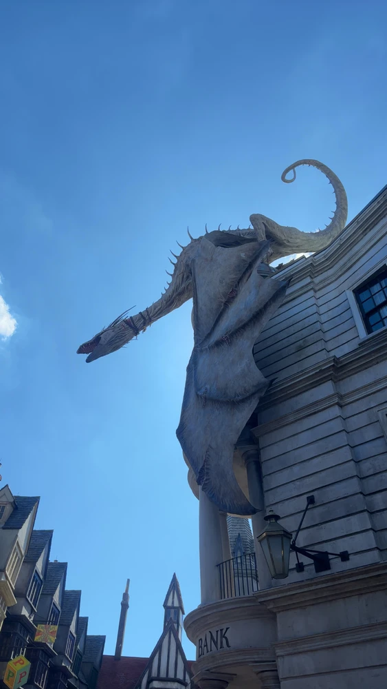 I hate when I shake because it takes the worst videos or pictures