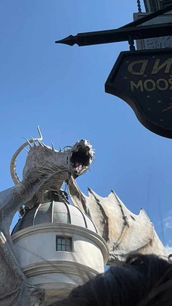 I hate when I shake because it takes the worst videos or pictures