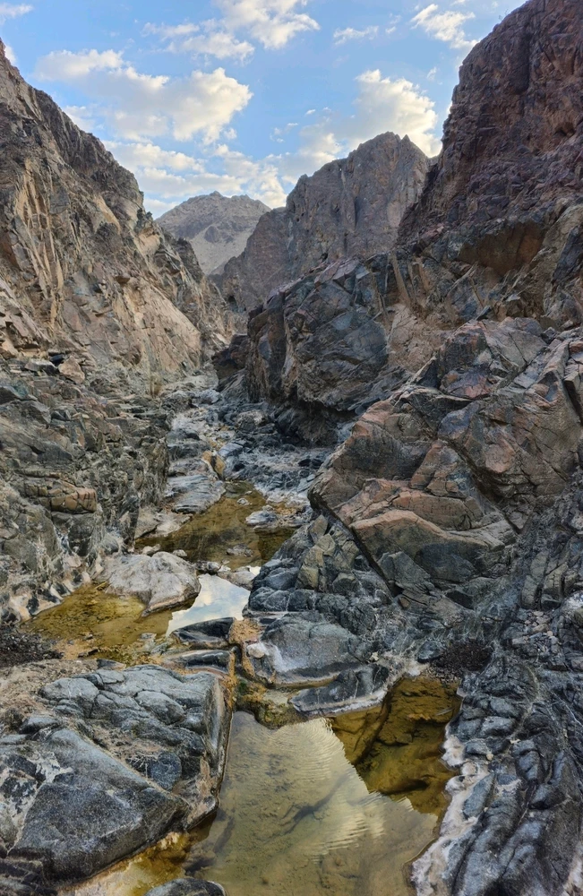 Image uploaded by Clare