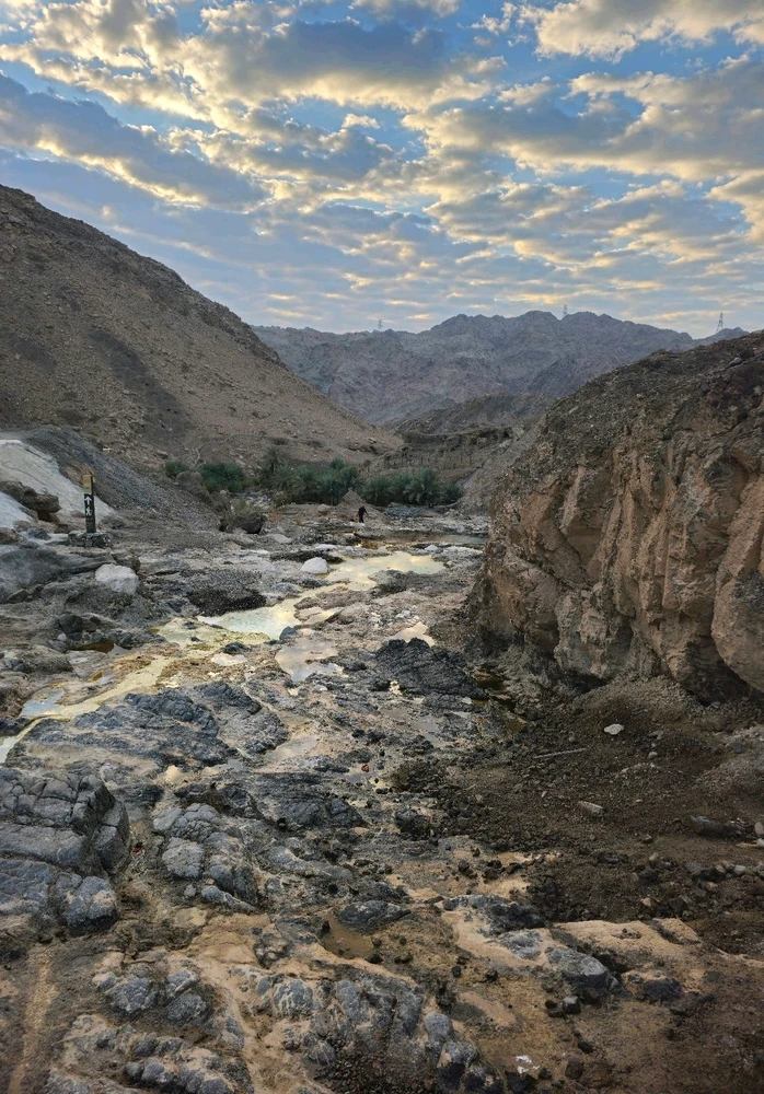 Image uploaded by Clare