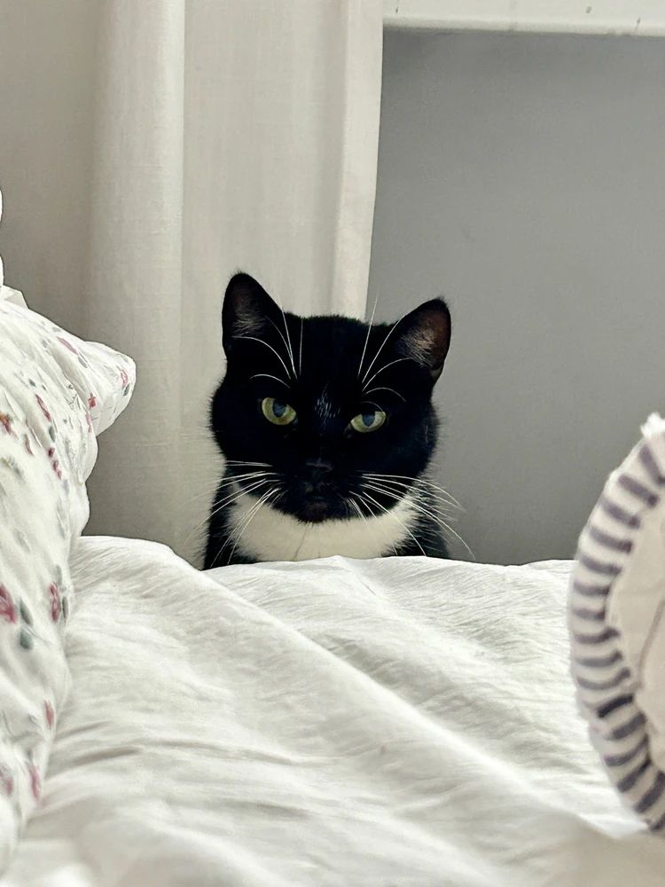 GIF dodany przez agni