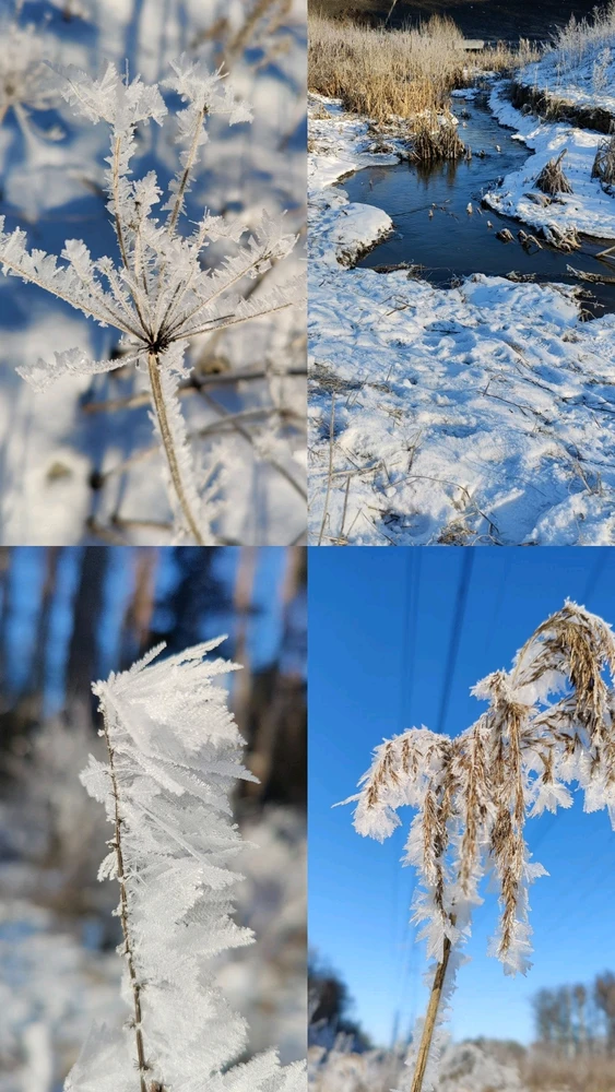 GIF загрузил Ana