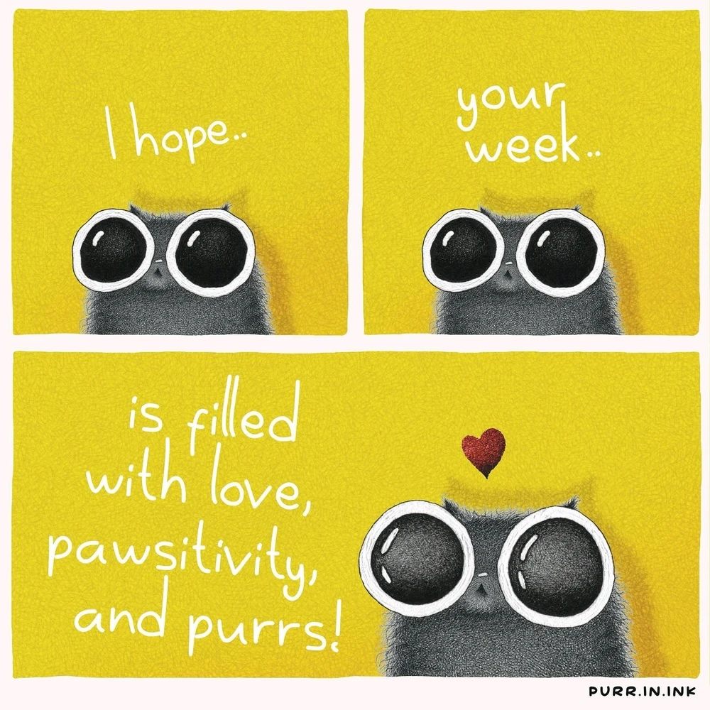 GIF hochgeladen von SuSu