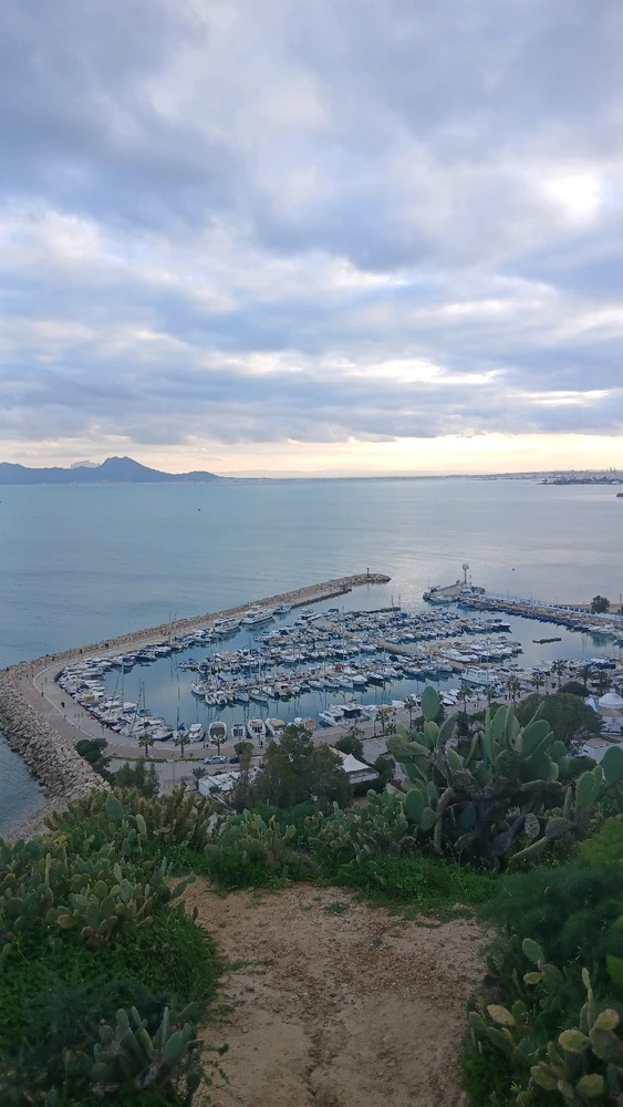 Image ajoutée par Oumaima