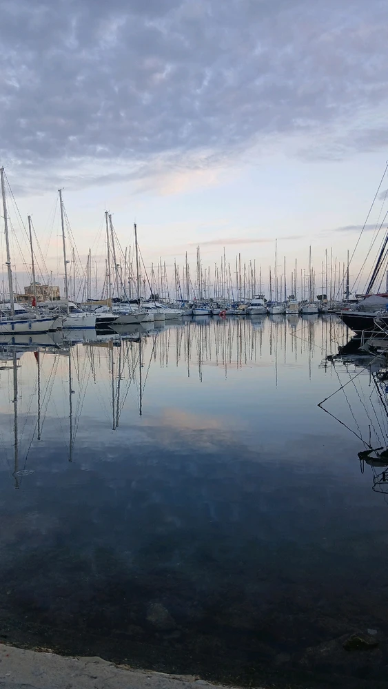 Image ajoutée par Oumaima