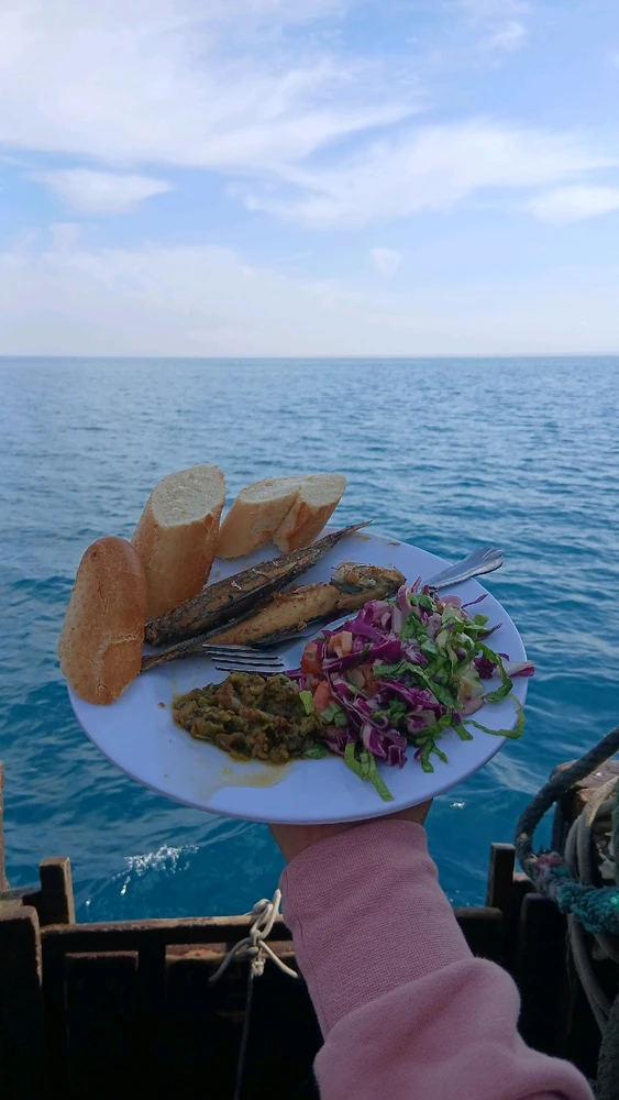 Image ajoutée par Oumaima