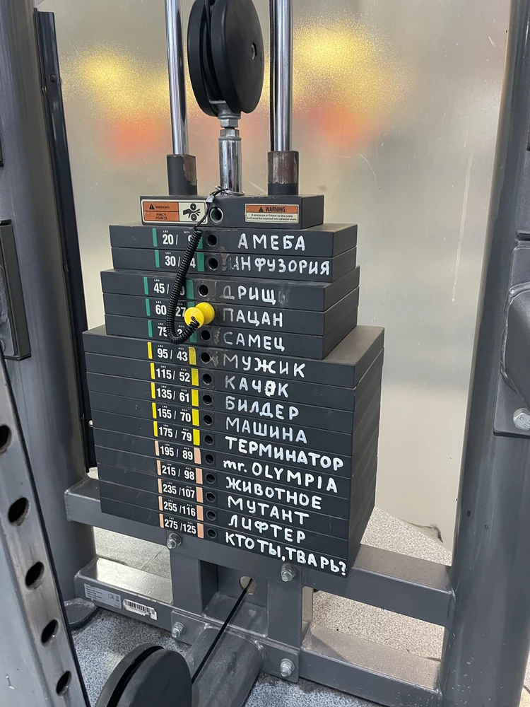 GIF загрузил Светлана / Veta