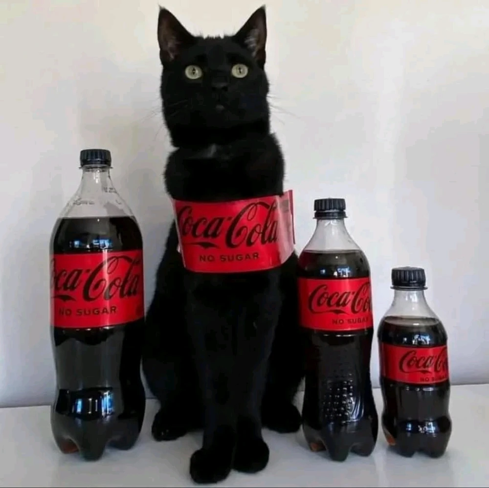 GIF hochgeladen von Doris