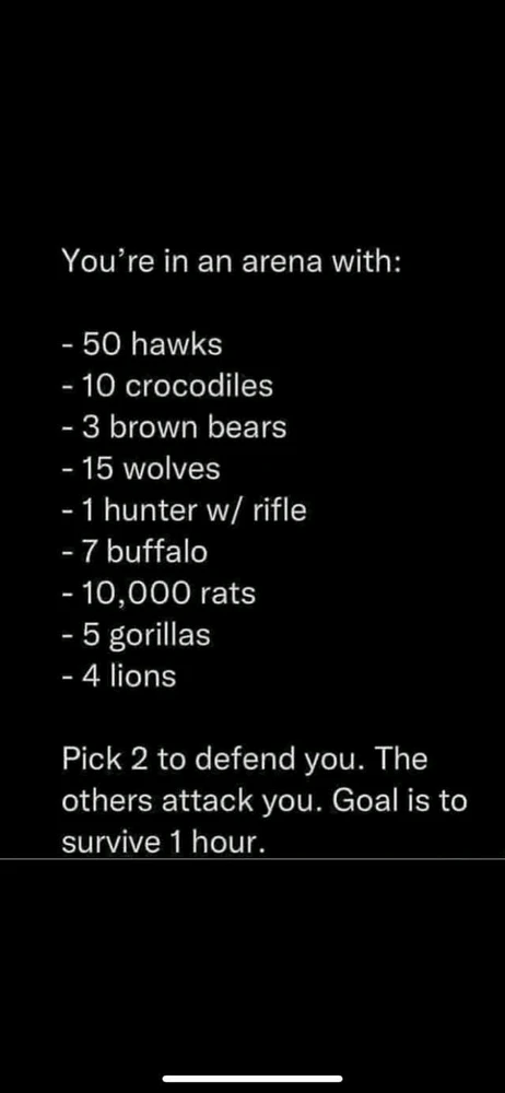 GIF uploaded by Cairo