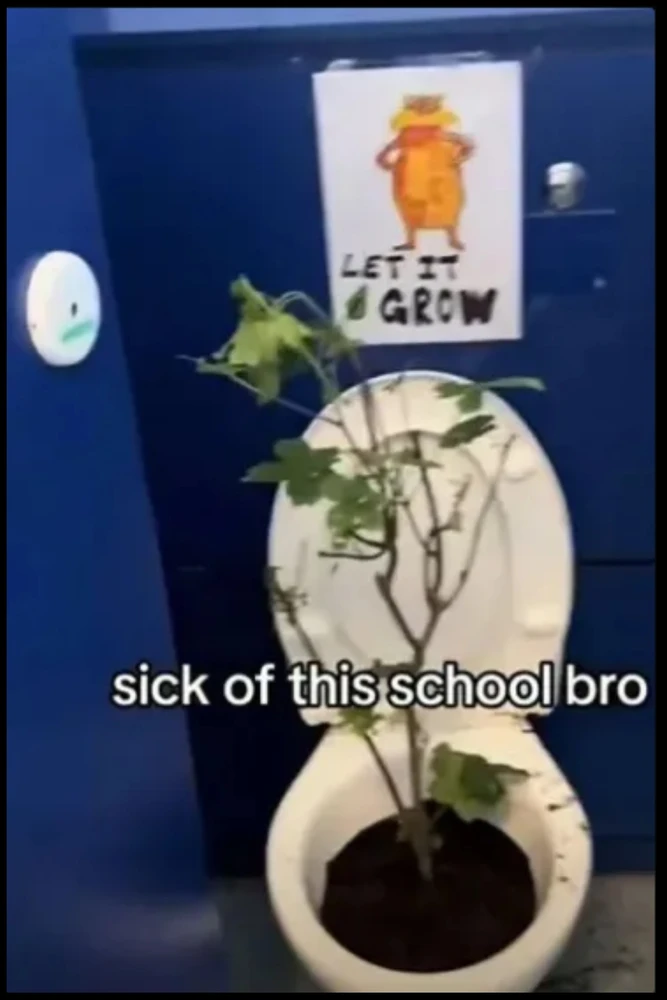 GIF dodany przez Sebastian